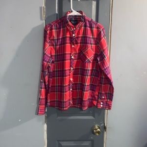 Beautiful American Eagle